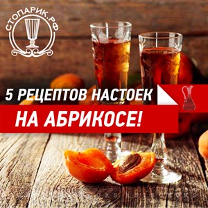 5 рецептов самогонных настоек на абрикосах
