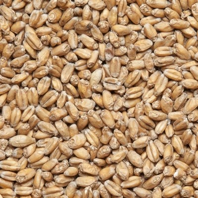 Солод пшеничный Wheat malt Финляндия - фото 8048