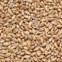 Солод пшеничный Wheat malt Финляндия