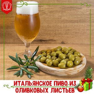 Пиво из оливковых листьев