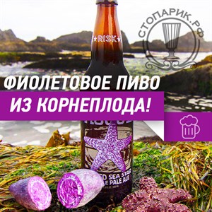Фиолетовое пиво из корнеплода