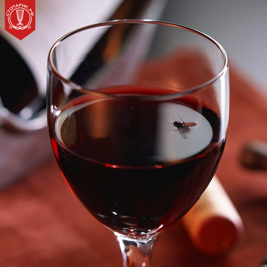 Пролили красное вино. День красного вина (National Red Wine Day).